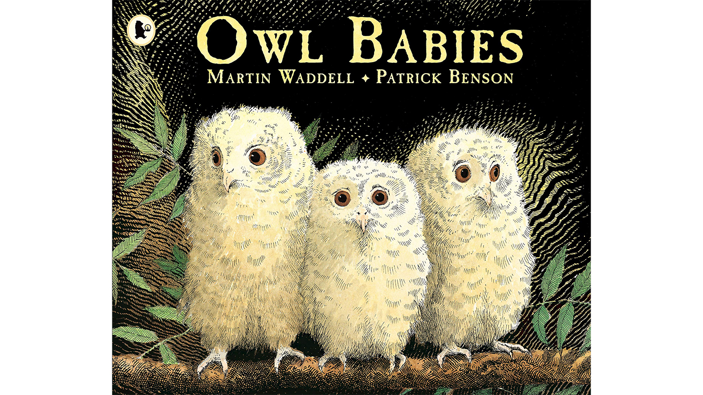 owl babies