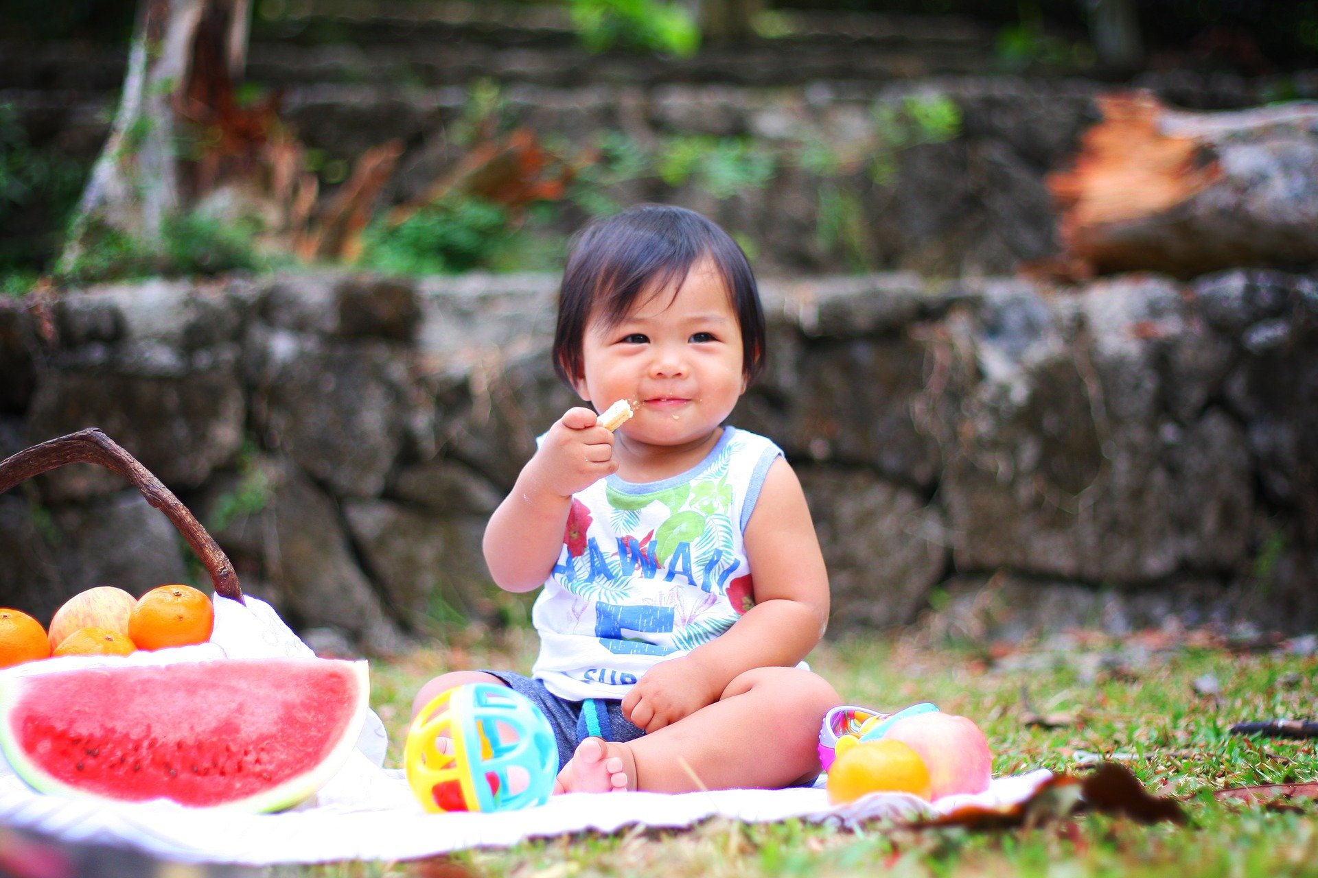 picnic-g2b04a555e_1920