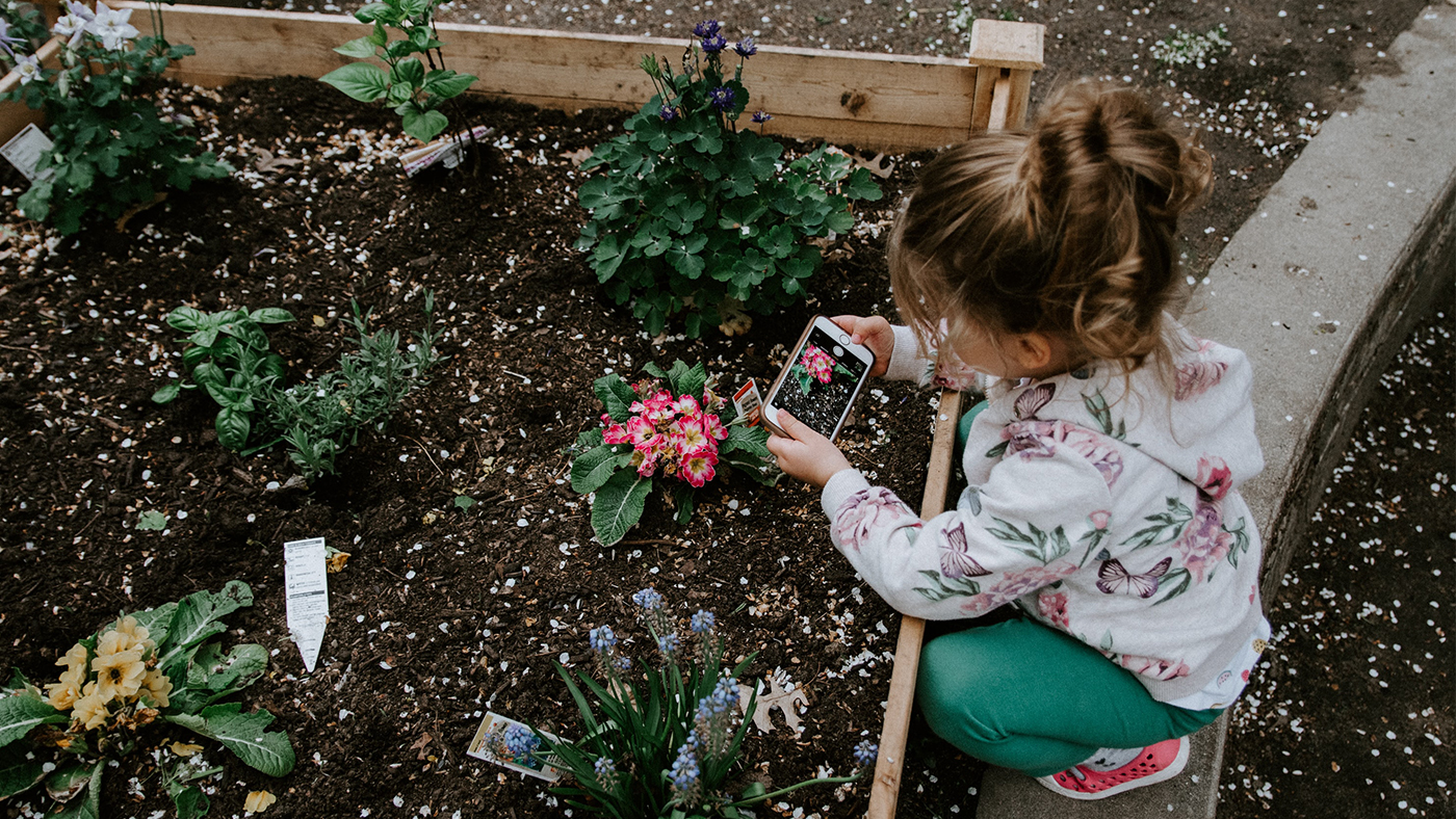 planting1