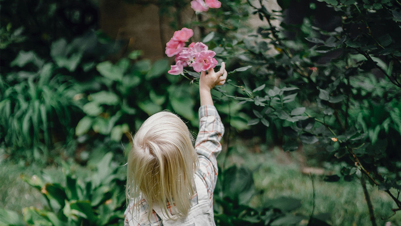 planting4