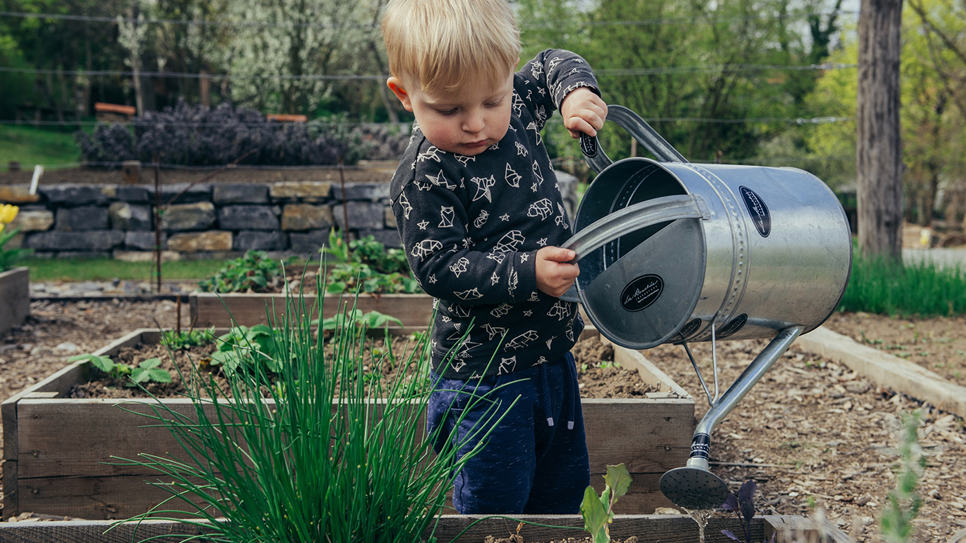 planting5