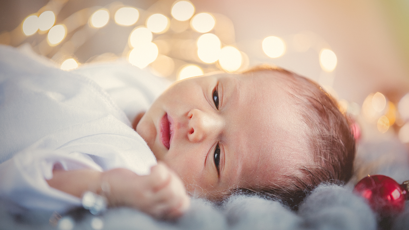 Little explorer – there are so many interesting things to discover! - Featured Image